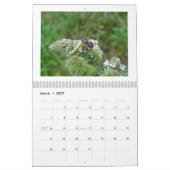 Agenda - Spiders Galore Kalender (Mar 2027)