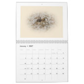 Agenda - Spiders Galore Kalender (Jan 2027)