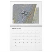 Agenda - Spiders Galore Kalender (Feb 2027)