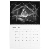 Agenda ~ Studies in zwart-wit Kalender (Feb 2026)