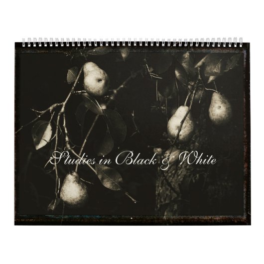 Agenda ~ Studies in zwart-wit Kalender (Hoes)