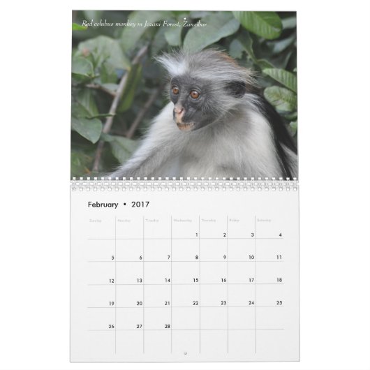 Agenda Tanzania Safari 2016 Kalender (Feb 2017)