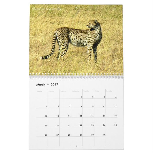 Agenda Tanzania Safari 2016 Kalender (Mar 2017)