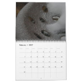 Agenda tractorherinneringen: Jaar aanpassen Kalender (Feb 2027)