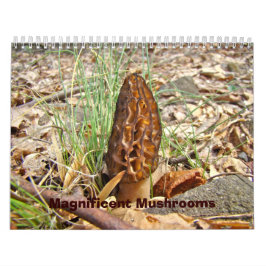Agenda - Uitstekende paddenstoelen Kalender