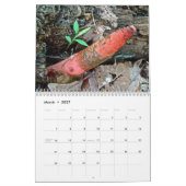 Agenda - Uitstekende paddenstoelen Kalender (Mar 2027)