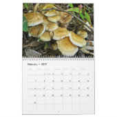 Agenda - Uitstekende paddenstoelen Kalender (Feb 2027)