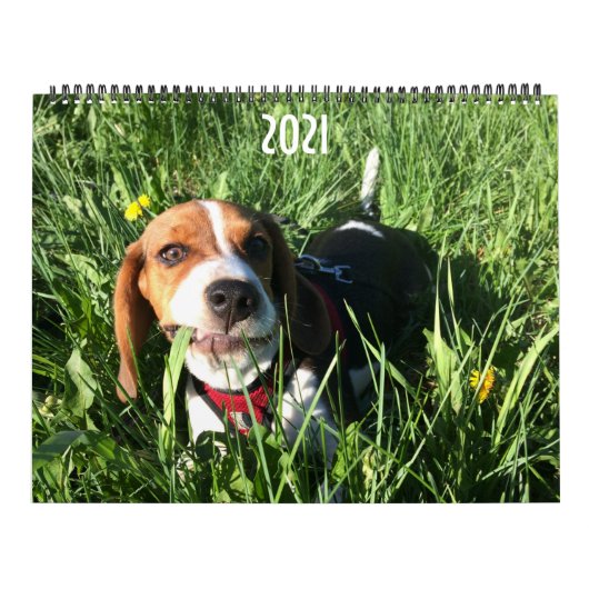 Agenda van Beagle 2021 Kalender (Hoes)
