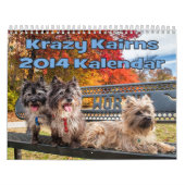 Agenda van Caïro 2014 Kalender (Hoes)