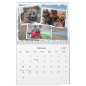 Agenda van Caïro 2014 Kalender (Feb 2027)