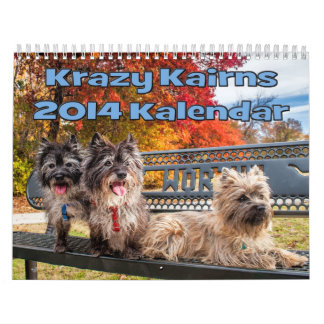 Agenda van Caïro 2014 Kalender