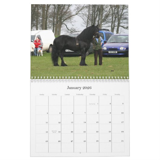 Agenda van Dales Pony 2010 Kalender (Jan 2026)