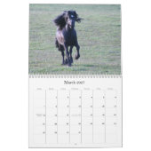 Agenda van Dales Pony 2012 Kalender (Mar 2027)