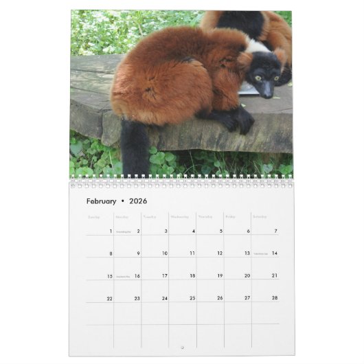 Agenda van de aap-liefde 2018 kalender (Feb 2026)