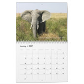 Agenda van de Afrikaanse Safari 2017 Kalender (Jan 2027)