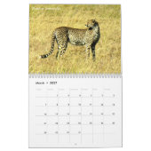 Agenda van de Afrikaanse Safari 2017 Kalender (Mar 2027)