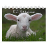 Agenda van de boegenvereniging 2016 kalender (Hoes)