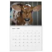 Agenda van de boegenvereniging 2016 kalender (Mar 2027)