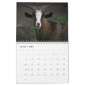 Agenda van de boegenvereniging 2016 kalender (Jan 2027)