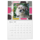 Agenda van de reddingspaneel van de American Bruss Kalender (Feb 2027)