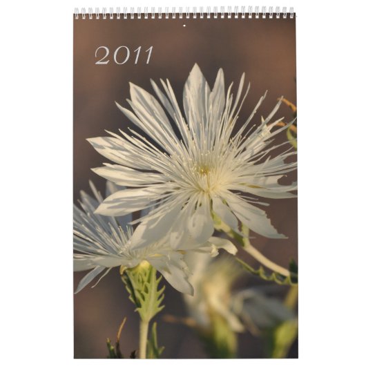 Agenda van Floral 2011 Kalender (Hoes)