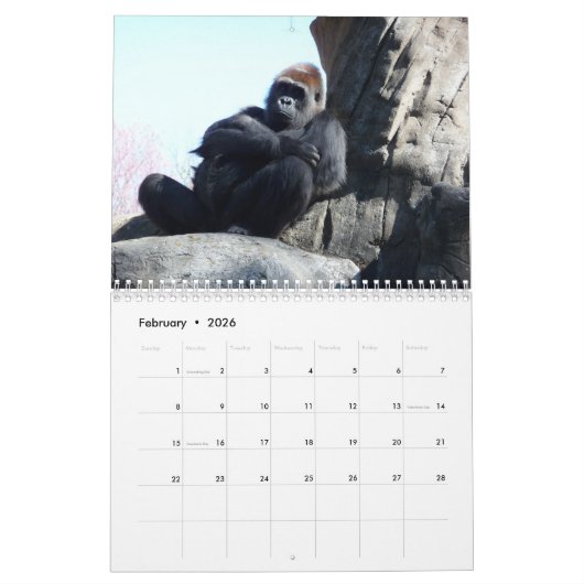 Agenda van Gorilla 2019 Kalender (Feb 2026)