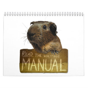 Agenda van Guinee 2013 Kalender