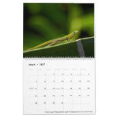 Agenda van Hawaii 2023 Kalender (Mar 2027)