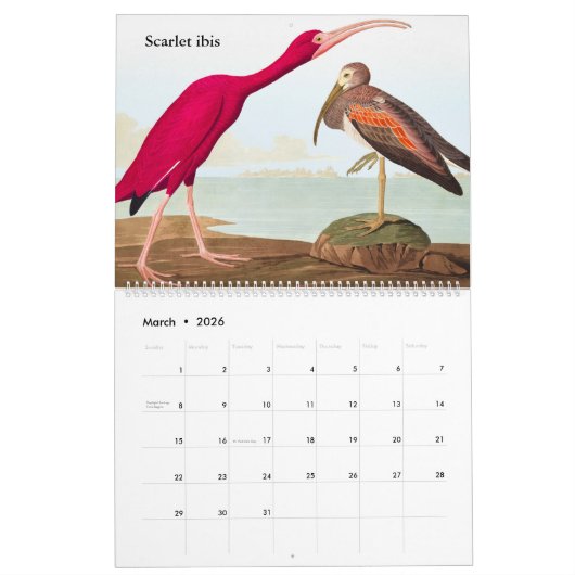 Agenda van John James Audubon Kalender (Mar 2026)