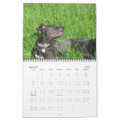 Agenda van Laika-a-Maand 2008 Kalender (Mar 2027)