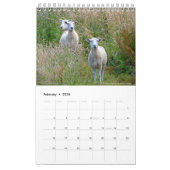 Agenda van Otago 2018 Kalender (Feb 2026)