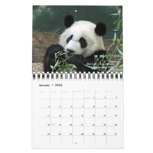 Agenda van Panda 2010 Kalender (Jan 2026)