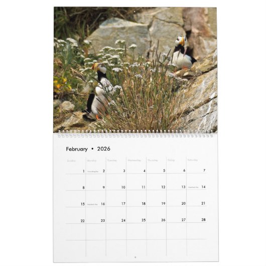 Agenda van puffins kalender (Feb 2026)