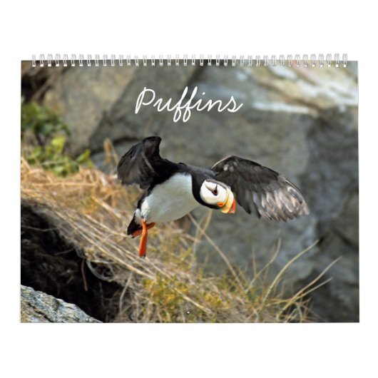 Agenda van puffins kalender (Hoes)