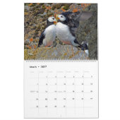Agenda van puffins kalender (Mar 2027)