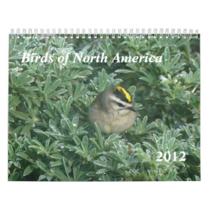 Agenda van vogels 2012 kalender