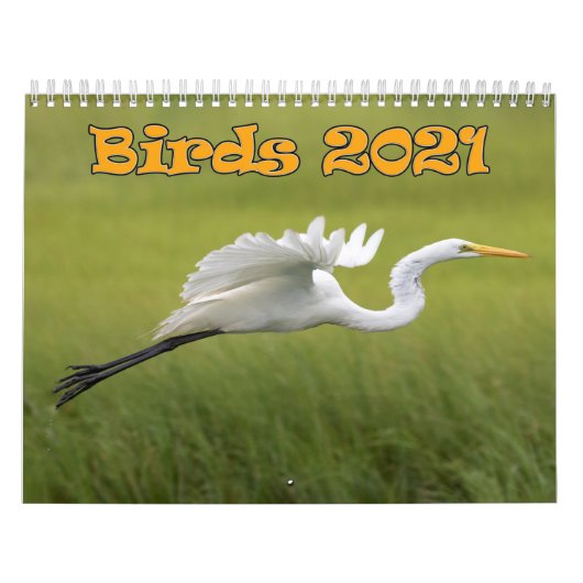 Agenda van vogels 2021 kalender (Hoes)