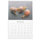 Agenda Varia 01 - 2011 Kalender (Feb 2026)