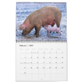 Agenda Varkens 2016 Kalender (Feb 2027)