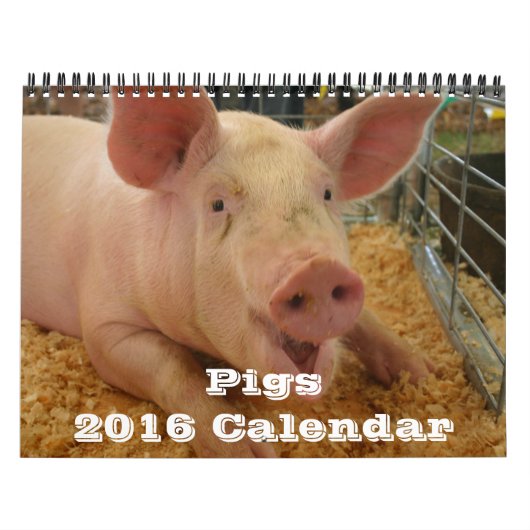 Agenda Varkens 2016 Kalender (Hoes)