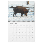Agenda Varkens 2016 Kalender (Jan 2027)