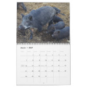 Agenda Varkens 2016 Kalender (Mar 2027)