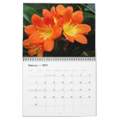 Agenda - Vloeit dicht en persoonlijk Kalender (Feb 2027)