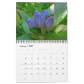 Agenda - Vloeit dicht en persoonlijk Kalender (Jan 2027)