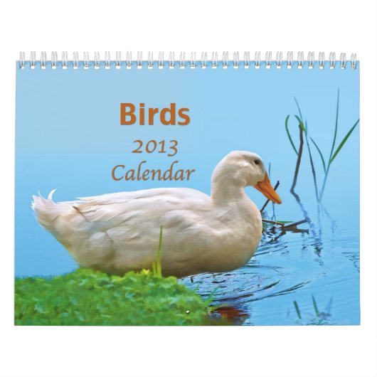 Agenda vogels 2013 kalender (Hoes)