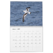 Agenda vogels 2023 kalender (Mar 2027)