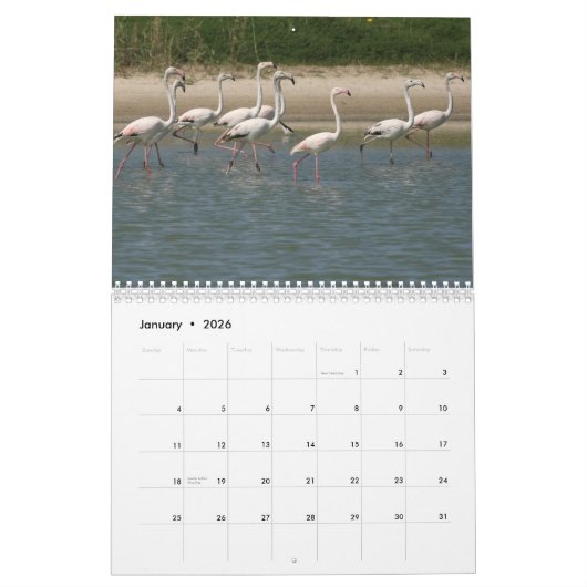 Agenda vogels 2023 kalender (Jan 2026)