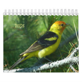 Agenda vogels voor 2017 kalender