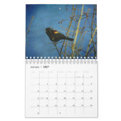 Agenda vogels voor 2017 kalender (Jan 2027)