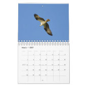 Agenda vogels voor 2017 kalender (Mar 2027)